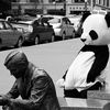 Sad Panda Learns To Socially Network